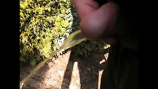 Happy-go-lucky PISS